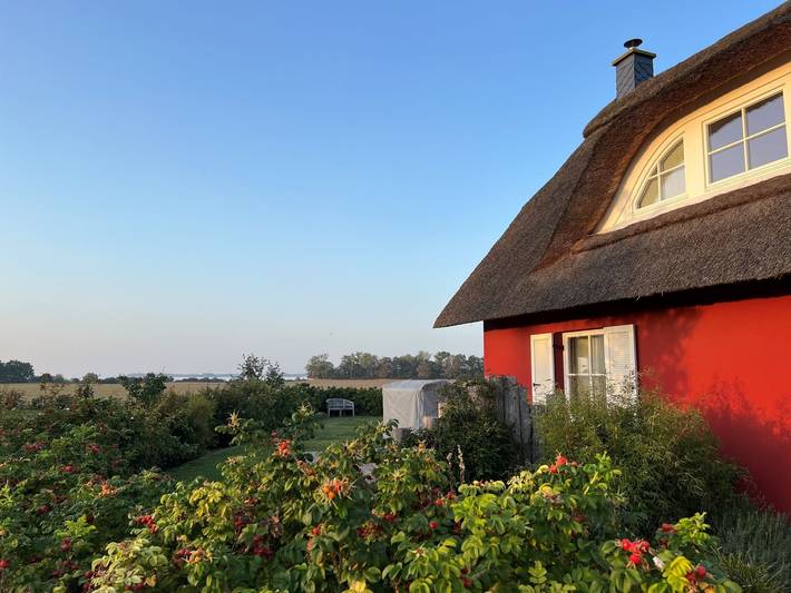Ferienhaus für 5 Personen, mit Terrasse und Garten in Zierow - 2