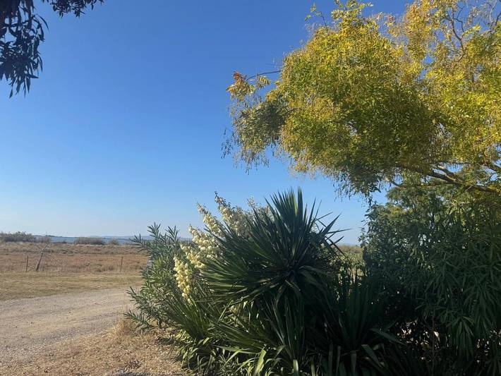 Camping pour 6 personnes, avec piscine et jardin ainsi que jacuzzi et bassin pour enfant à Lattes - 4