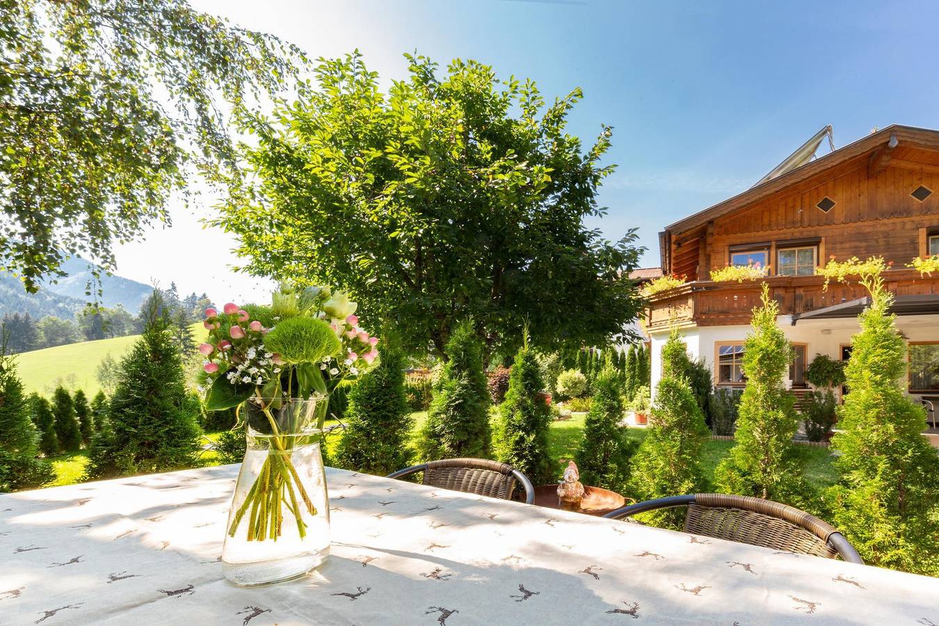 Ganze Ferienwohnung, Apartment 3-Raum für 4-5 Personen in Rohrmoos, Schladming-Dachstein