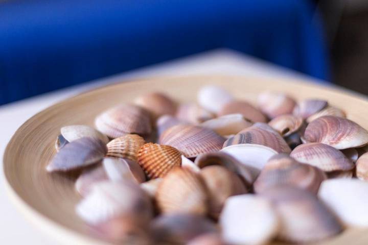 Ferienhaus für 4 Personen, mit Haustier in Valencia - 2