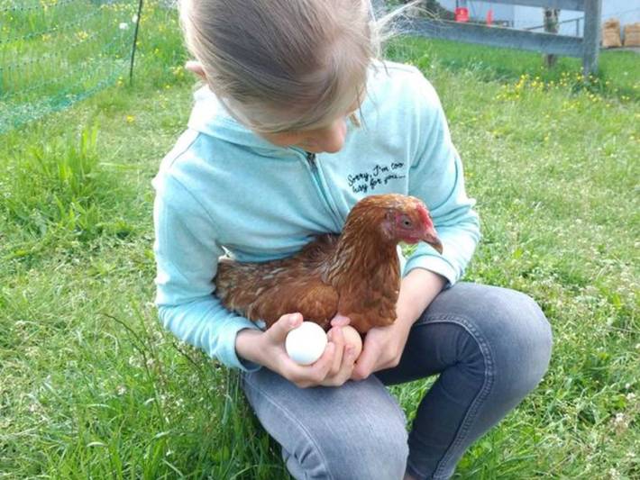 Ferienhaus für 3 Personen, mit Balkon und Garten sowie Ausblick in Fischbachau - 4