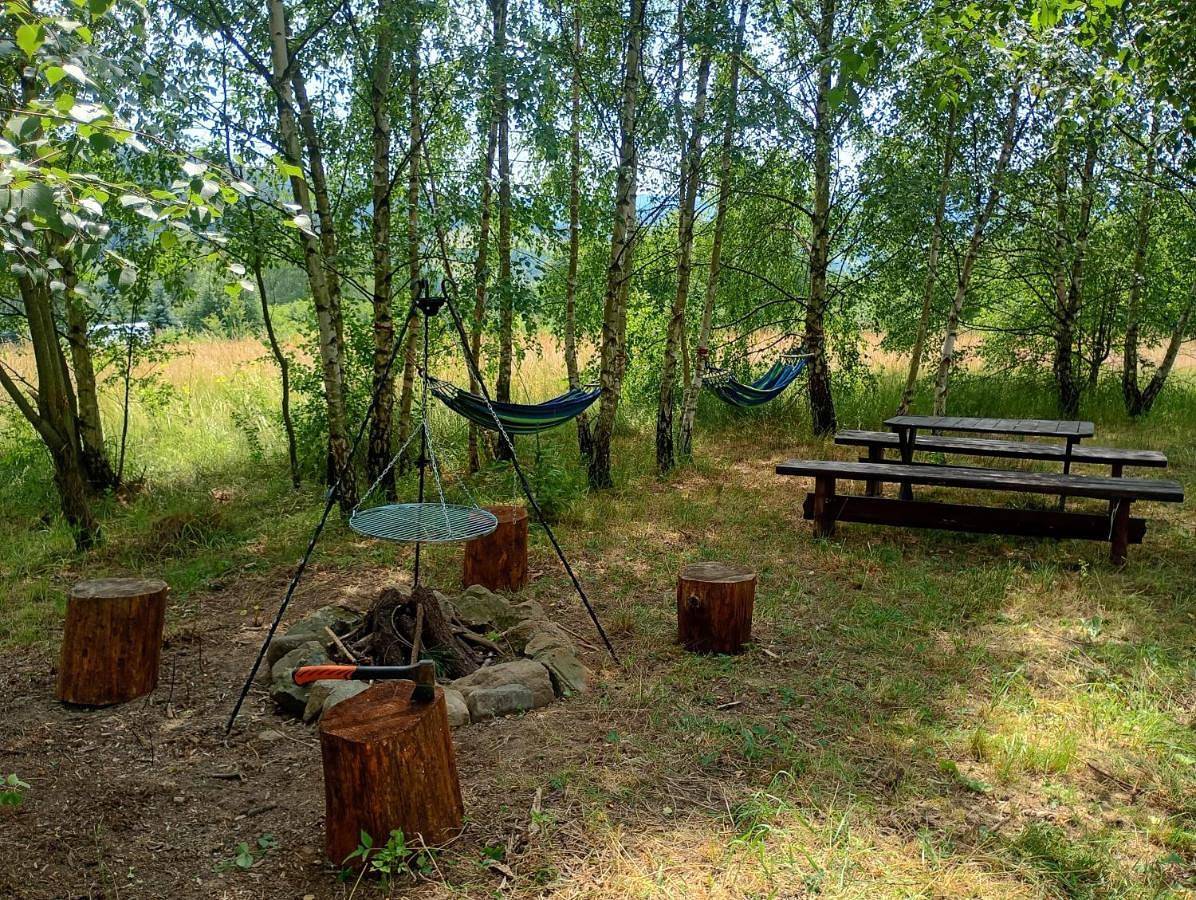 Brzozowy Zakątek -Chatka Stokrotka w Krynicy in Krynica-Zdrój, Karpaty (Polska)