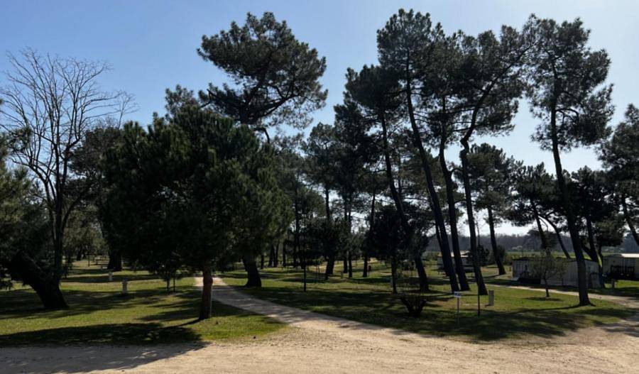 Camping La Maltournée in Tigy, Vallée de la Loire