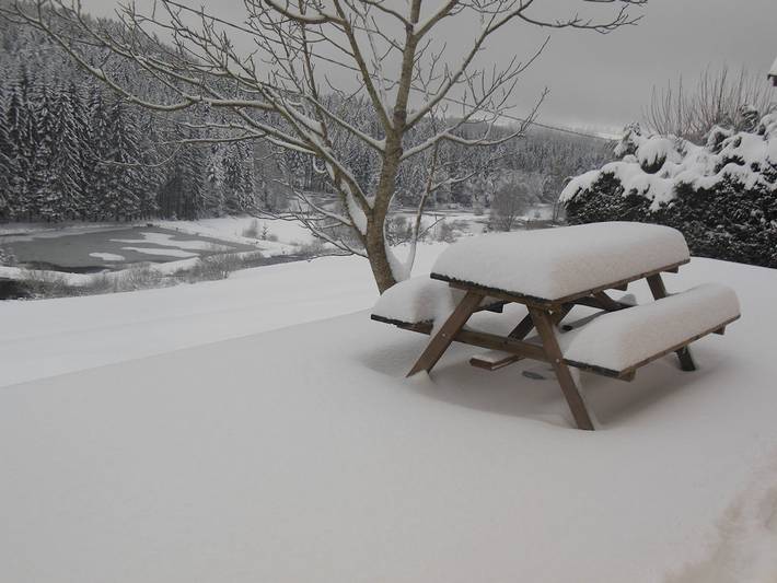 Gîte pour 6 personnes, avec jardin ainsi que vue sur le lac et terrasse, animaux acceptés à Girmont-Val-d'Ajol - 2