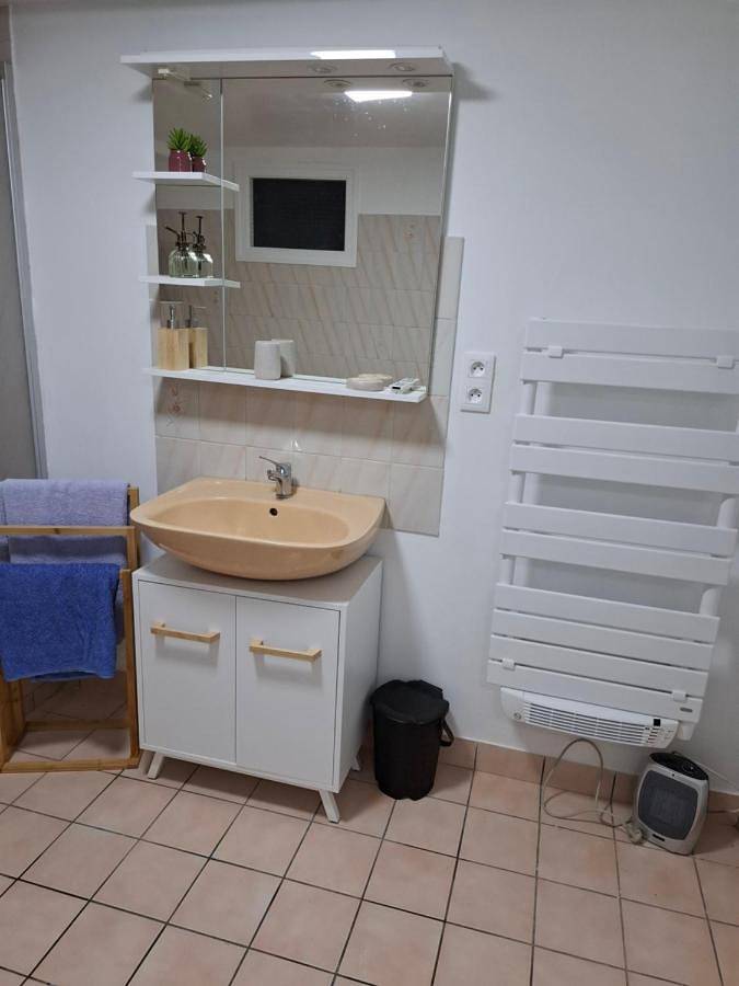 Location de vacances pour 4 personnes, avec jardin à Plélan-le-Grand - 4
