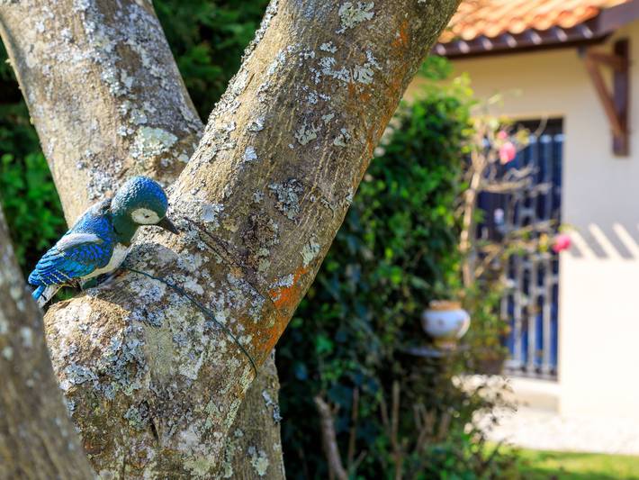 L'Oiseau Bleu in La Plaine-sur-Mer, Côte de Jade