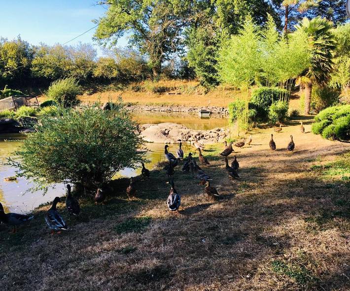 Appartement de vacances pour 4 personnes, avec Terrasse et Jardin ainsi que Vue sur le lac et Vue dans les Deux-Sèvres - 4
