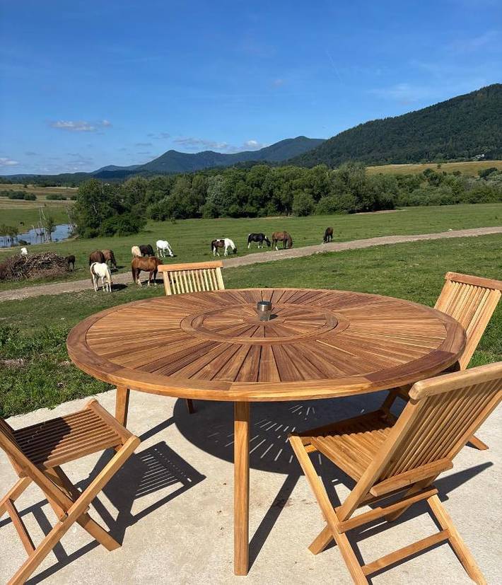 Location de vacances pour 2 personnes, avec vue et terrasse ainsi que jardin et piscine, animaux acceptés à Oberhaslach - 4