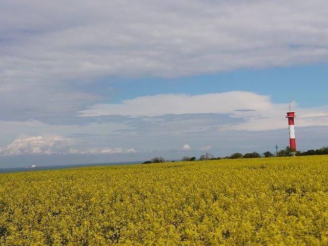 Bungalow für 6 Personen, mit Garten, mit Haustier auf Fehmarn - 4