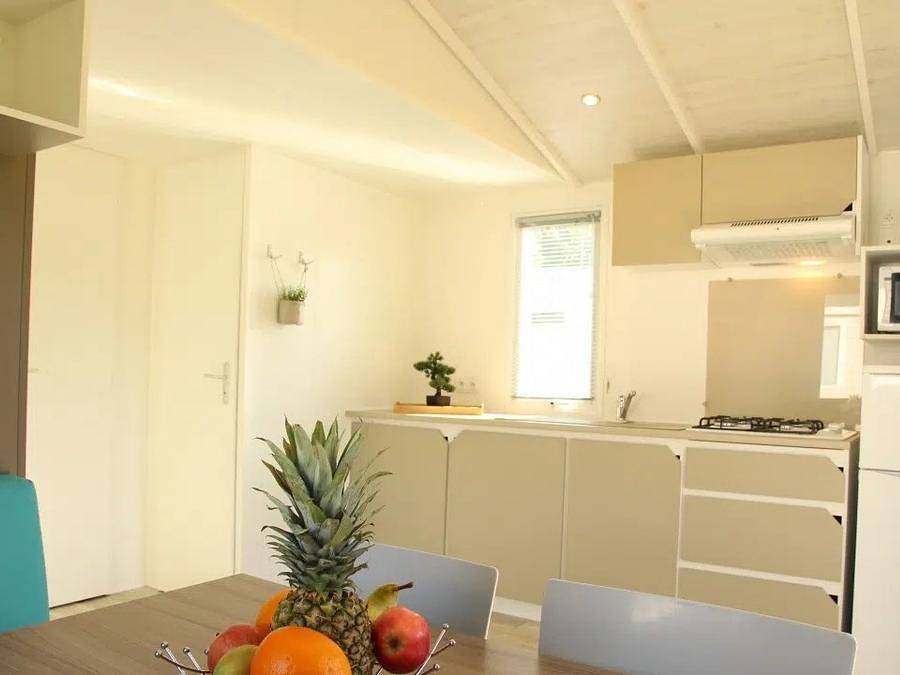Camping Les Rives de l'Adour - Camping Paradis  - Mobile home 4 persons - Classic mobile home 2bed 4p in Saint-Sever, Landes