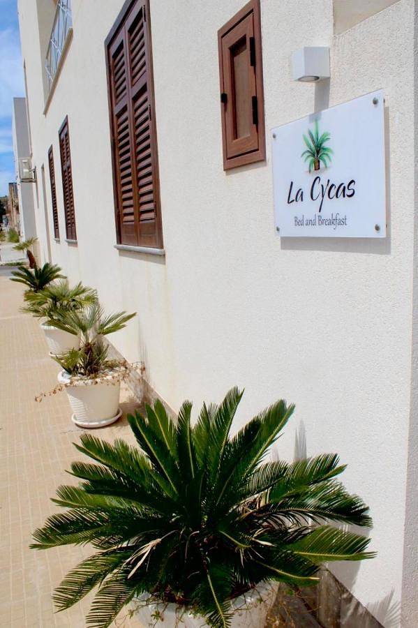 Chambre d’hôte pour 4 personnes, avec jardin à San Vito Lo Capo - 2