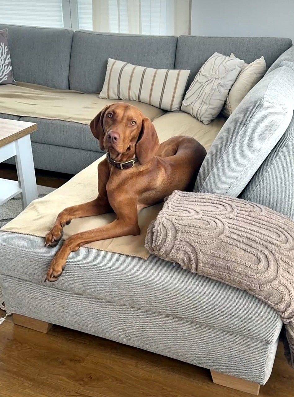 Ferienhaus Baltic Lagoon 12a in Bodstedt, Fuhlendorf