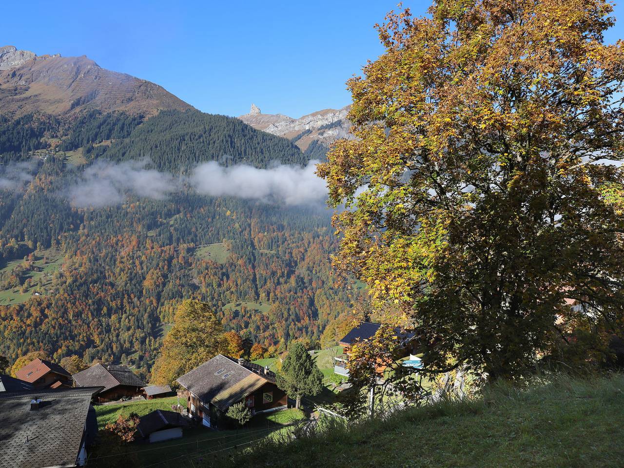 Ganze Wohnung, Primula Apt. B in Wengen, Lauterbrunnen