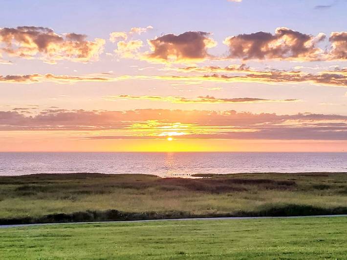 Ferienhaus für 2 Personen, mit Terrasse und Pool, mit Haustier in Højer - 3
