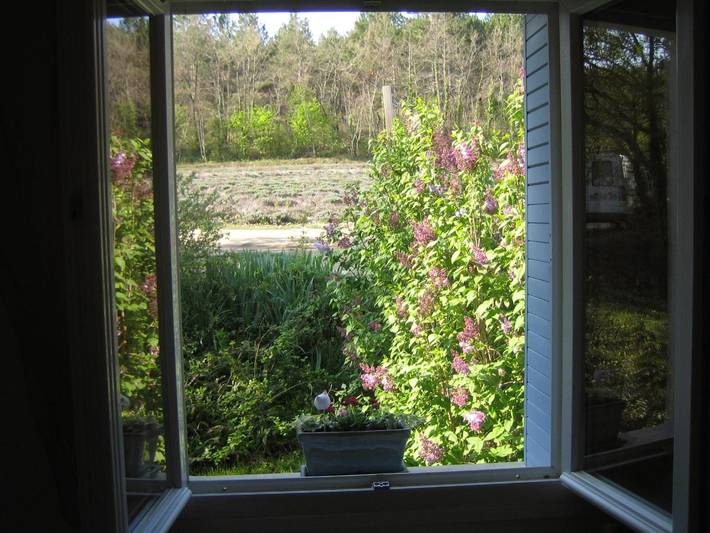 Gîte pour 4 personnes, animaux acceptés à Rochefort-en-Valdaine