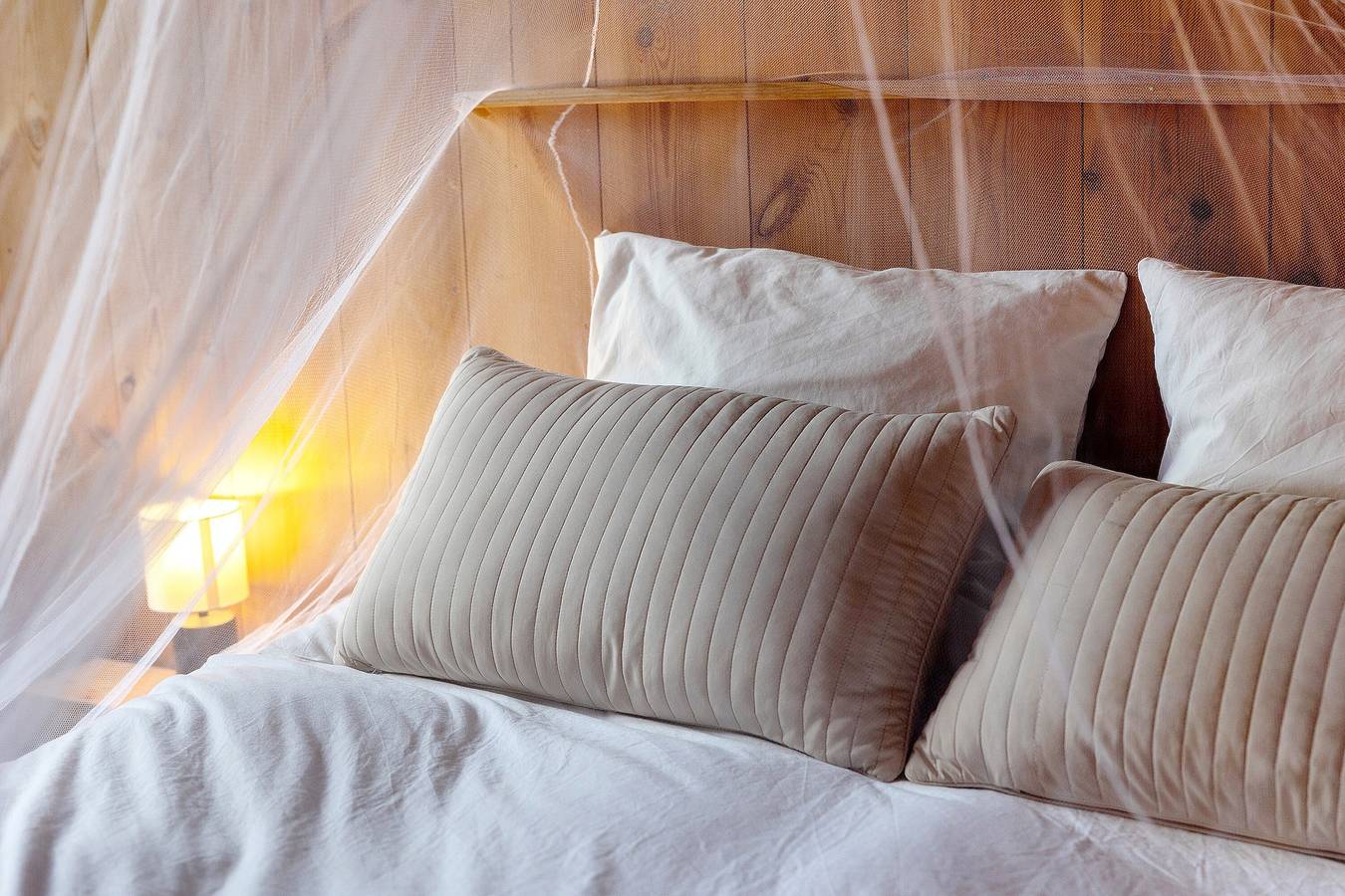 Gästezimmer La Forestière 3 mit separatem Zugang in grüner Umgebung in Lac de Lacanau, Lacanau