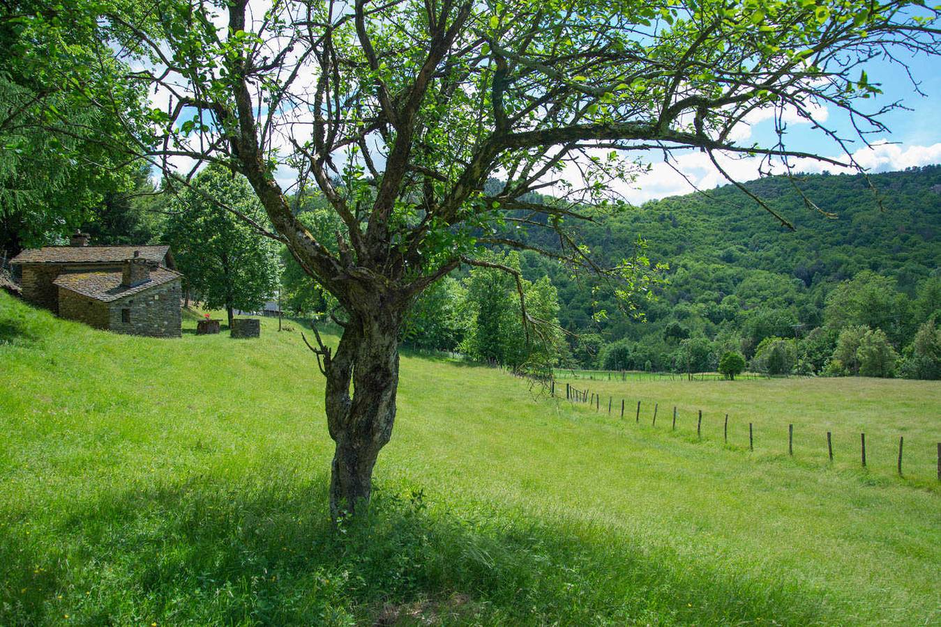 Gîtes de France 2 personnes à la Bastide in Saint-Germain-de-Calberte, Parc national des Cévennes