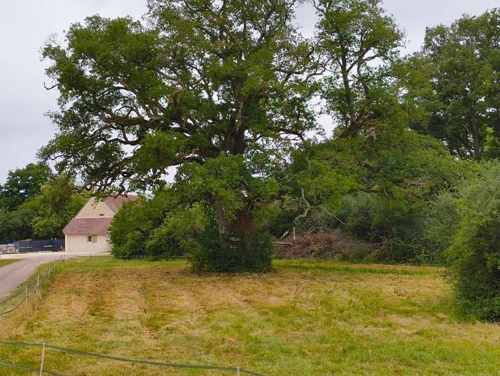 Maison de vacances pour 3 personnes, avec terrasse, animaux acceptés