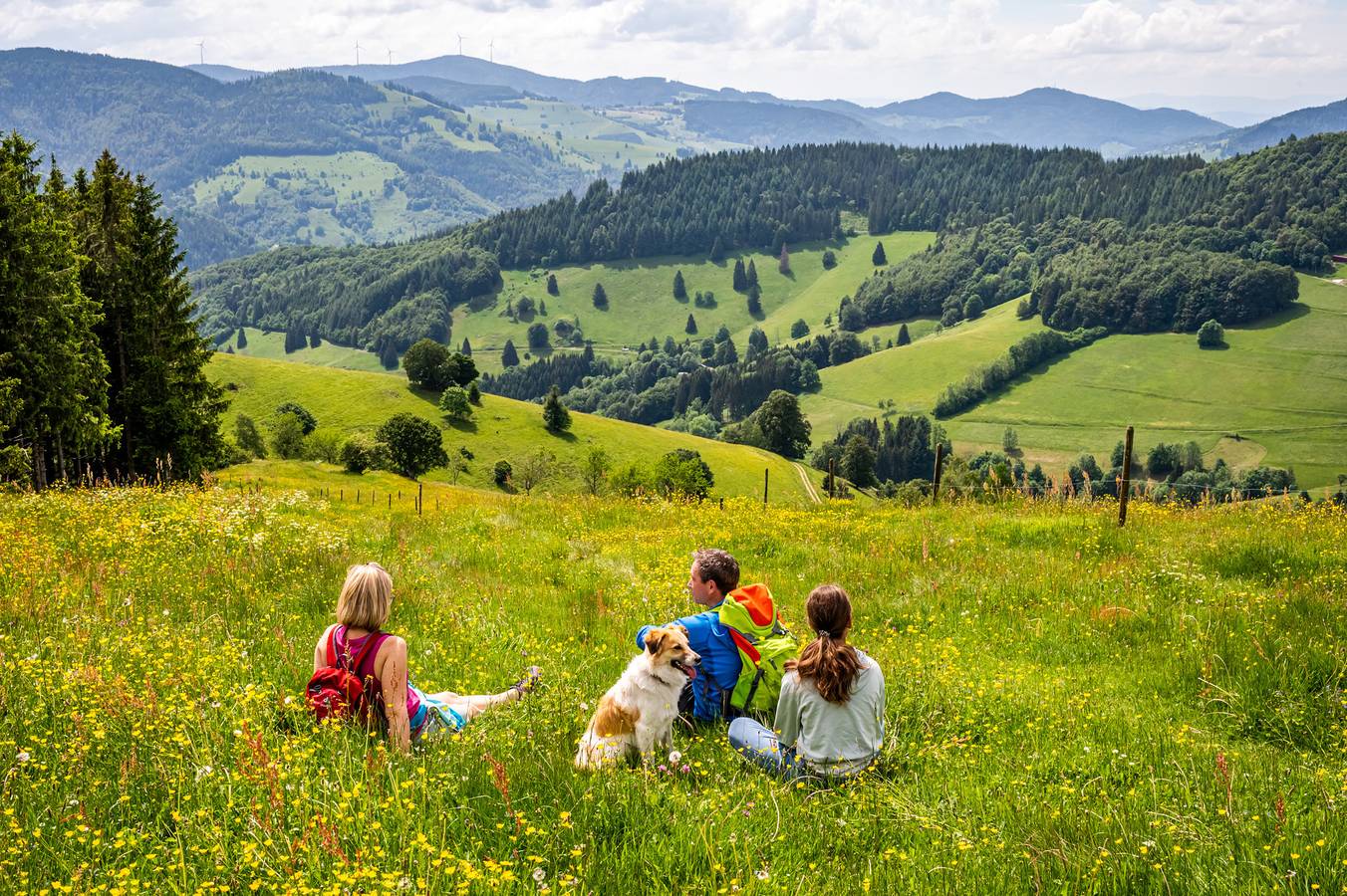 Ganze Ferienwohnung, Ferienhaus Anita -  Wohnung Nr. 09 mit Sauna in Lenzkirch-Kappel in Kappel (Lenzkirch), Lenzkirch
