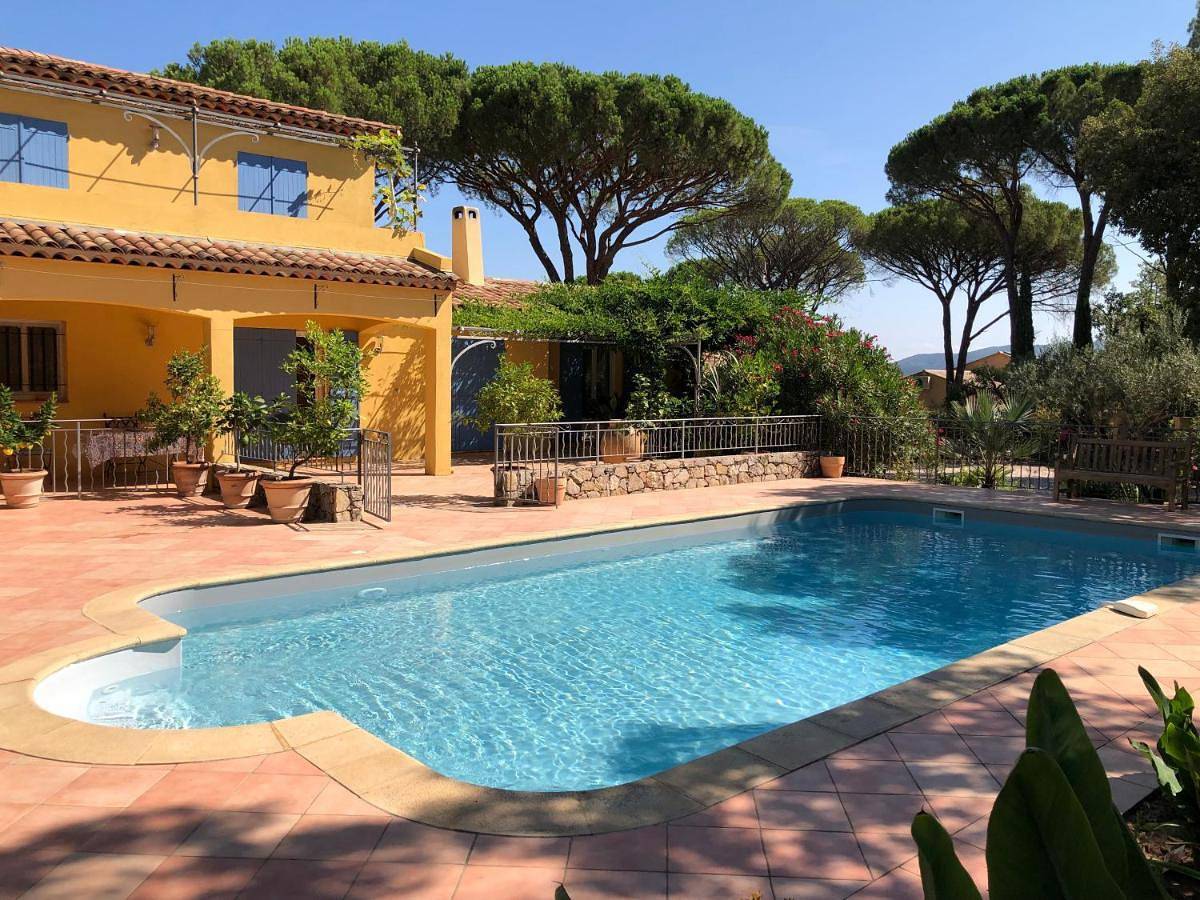 Sous les pins parasols in Vidauban, Côte méditerranéenne (France)