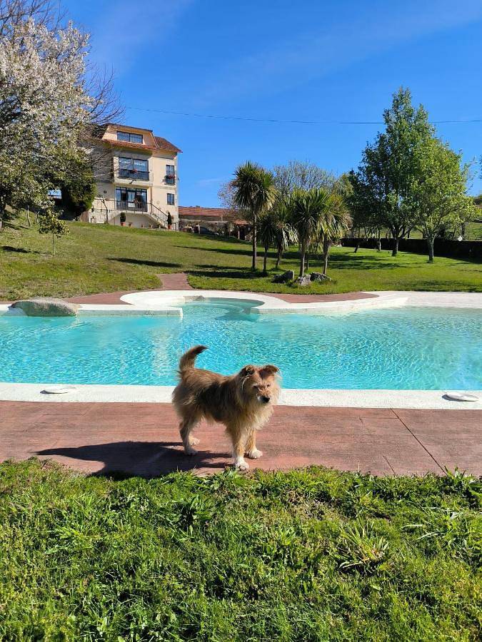 Casa rural para 6 personas, con jardín además de vistas y piscina en Galicia - 4