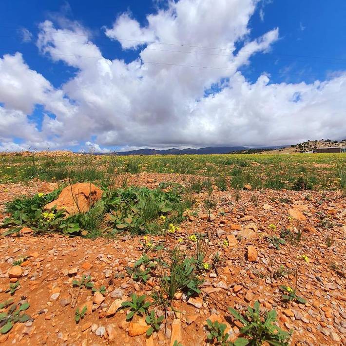 Chambre d’hôte pour 2 personnes, avec jardin à Taghazout (village) - 4