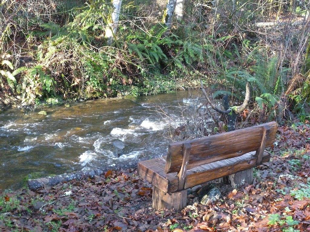 Unser Creekside Cottage liegt nur 1,6 km vom Olympic Discovery Trail entfernt. in Hurricane Ridge