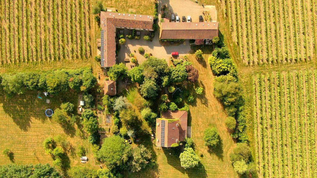Three-Bedroom House in Madiran, Hautes-Pyrénées