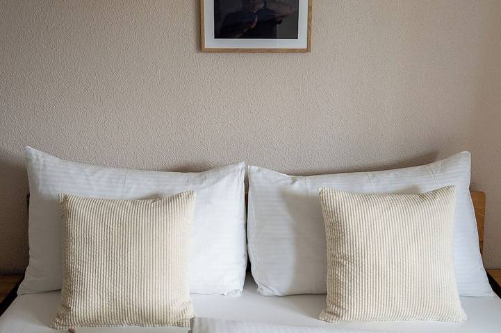 Entire apartment, 4Seasons | Morschach | Family Apartment | Mountain View in Morschach, Lake Lucerne