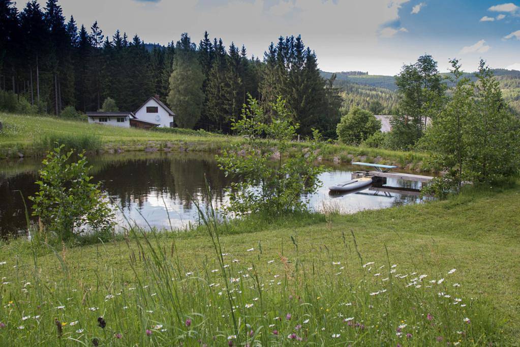 Ganze Ferienwohnung, Chalet Nordwald - Ferienwohnung mit Kamin 80qm in Gemeinde Bad Großpertholz, Waldviertel