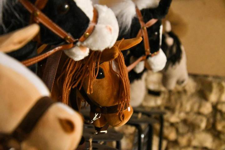 Location de vacances pour 15 personnes, avec jardin dans Loches-sur-Ource - 3