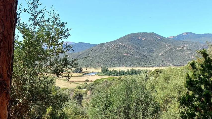 Location de vacances pour 5 personnes, avec jardin, animaux acceptés à Casaglione - 3
