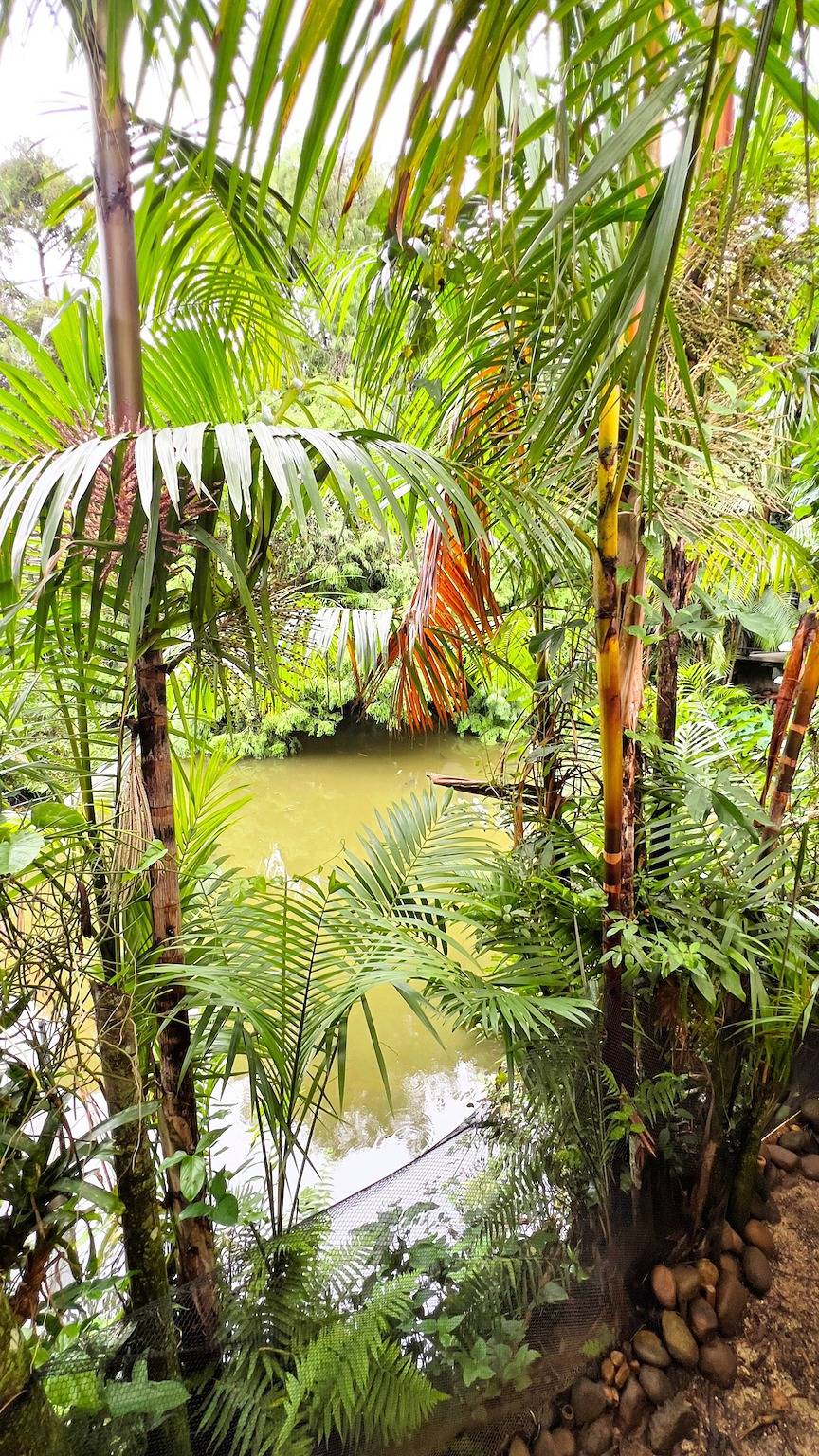 Casa de Campo c Lareira Externa, Rede e Lago in Vargem Grande, Rio de Janeiro