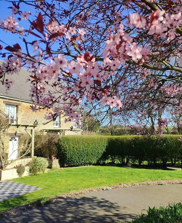 Location de vacances pour 6 personnes, avec jardin et vue à Cahagnolles