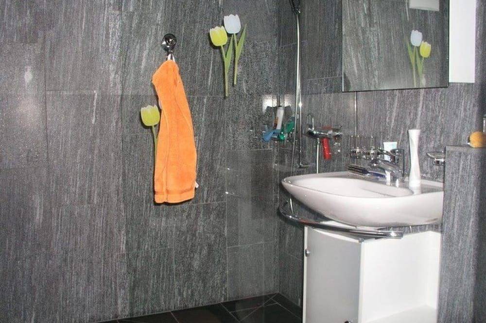 Entire apartment, Ferienwohnung Köppel by Interhome in Disentis, Surselva