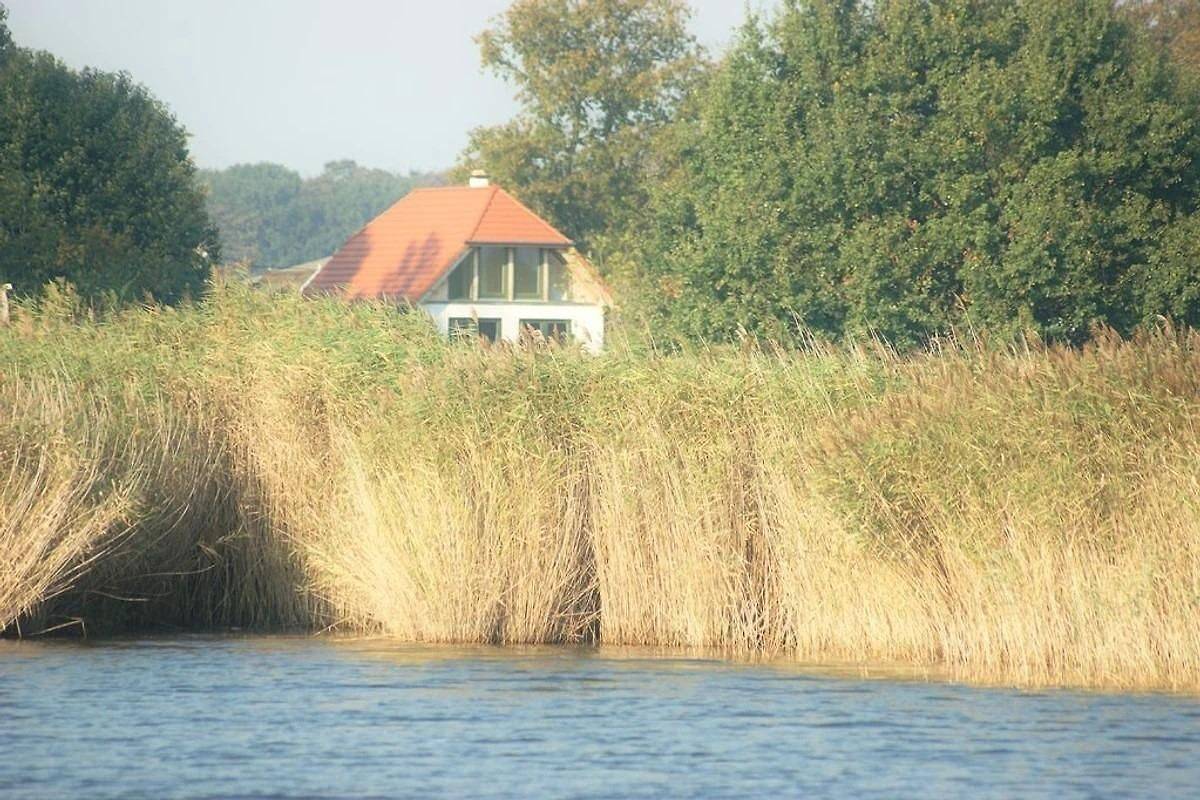 Ferienhaus "Boddenidyll" für 4 Erwachsene, 1 Kind und 2 Hunde. in Groß Schoritz, Garz/Rügen