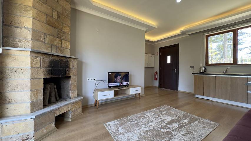 Villa de luxe à louer 00012 in Ünye, Région de la mer Noire