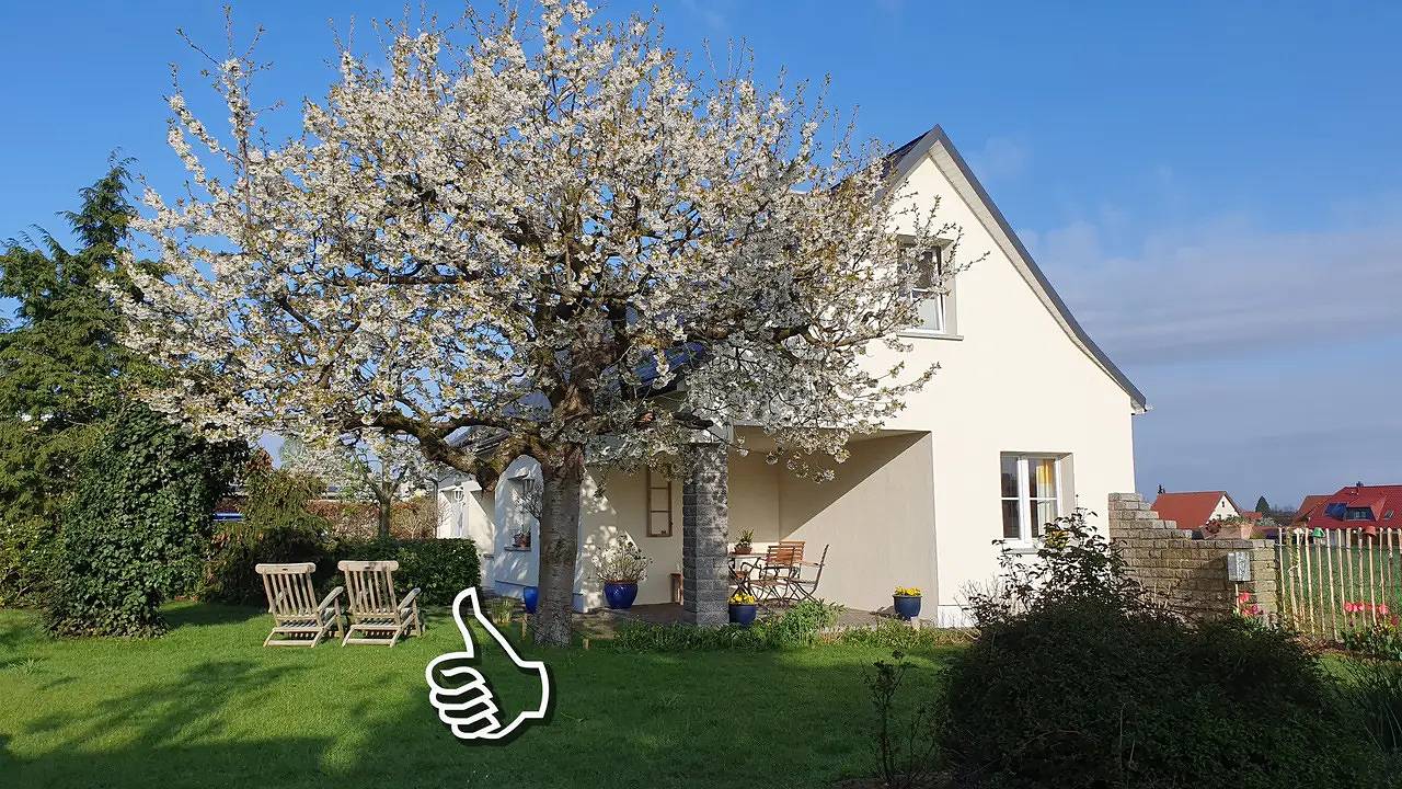 Ferienhaus für 4 Personen (95 m²) in Laußnitz in Laußnitz, Oberlausitz-Niederschlesien