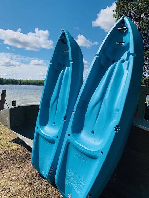 Cabane en bois pour 8 personnes, avec jardin ainsi que jacuzzi et sauna dans Alaska - 3