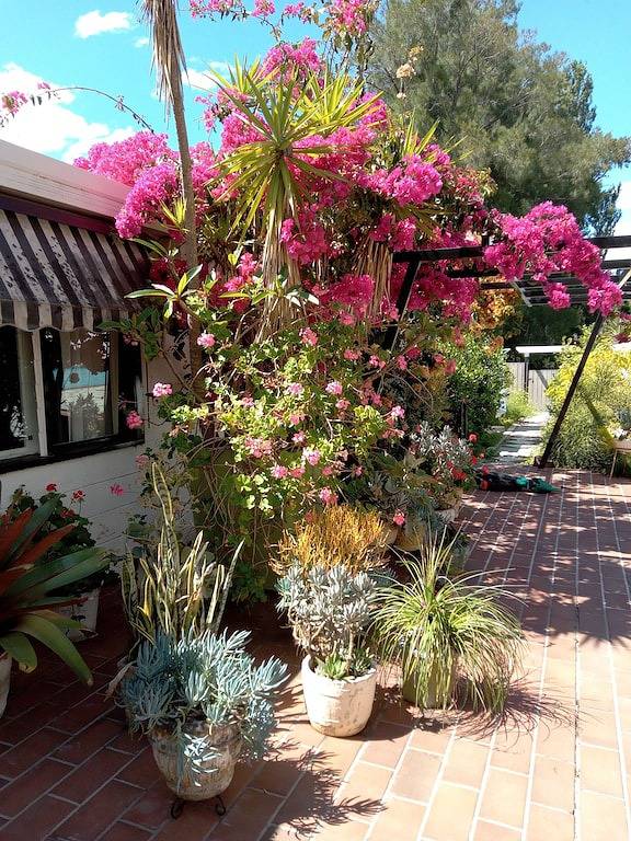 Belair - ein Pad aus der Mitte des Jahrhunderts im Herzen von Berry in Berry (NSW), New South Wales