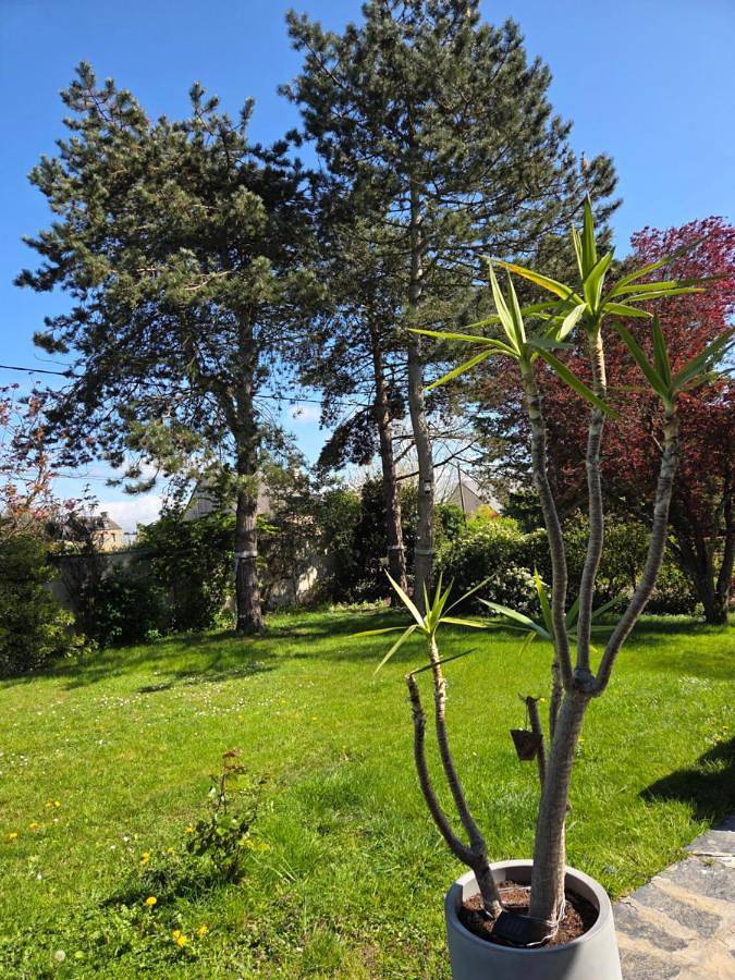 Chambre d’hôte pour 2 personnes, avec vue ainsi que jardin et terrasse à Pontorson - 4