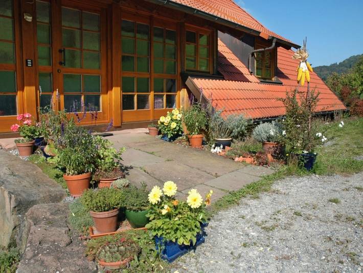 Ganze Ferienwohnung, Haagseppenhof - Ferienwohnung Talblick, 58qm, 1 Schlafzimmer, max. 2 Personen in Seelbach, Mittlerer Schwarzwald