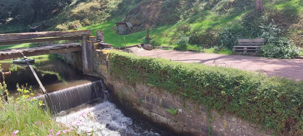 Chambre d’hôte pour 4 personnes dans Nièvre - 3