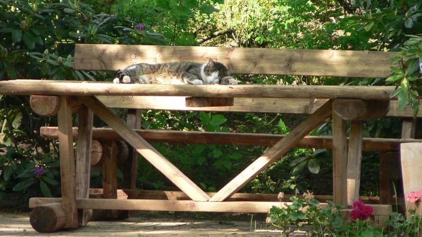 Ferienwohnung für 2 Personen, mit Garten in Landkreis Heidekreis - 2