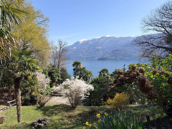 Ferienhaus für 4 Personen, mit Terrasse und Ausblick sowie Seeblick am Lago Maggiore (Schweiz) - 2