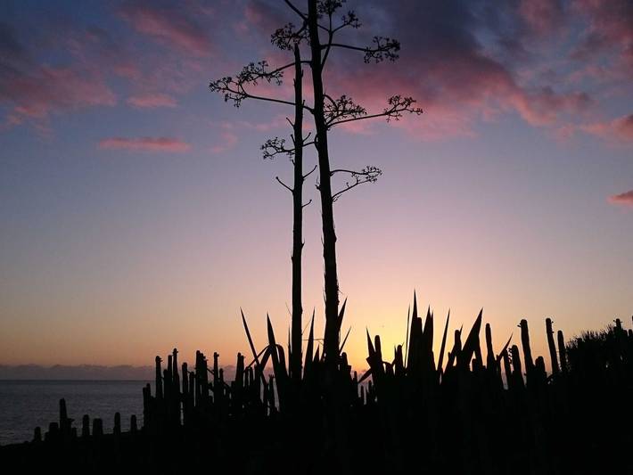 Ferienwohnung für 3 Personen, mit Terrasse auf La Palma - 4