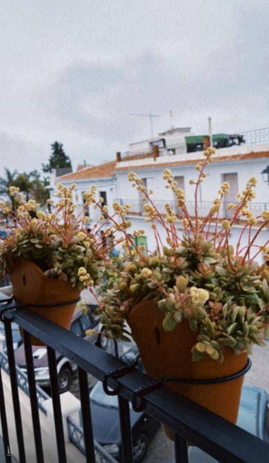 Appartement entier, La morada de Rosafina in Frigiliana Road, Frigiliana