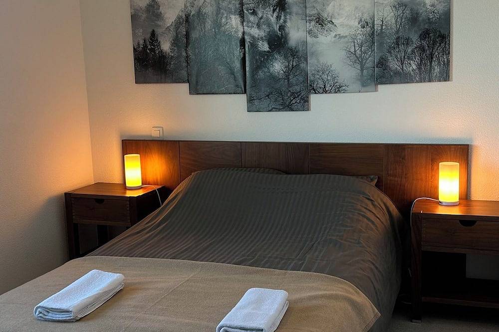 Entire apartment, 6-seater apartment 150m from the slopes in Arette, Béarn