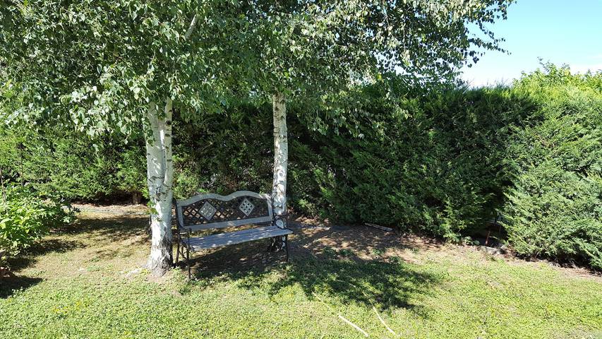 Chambre d’hôte pour 4 personnes, avec jardin et piscine dans Hautes-Alpe - 3