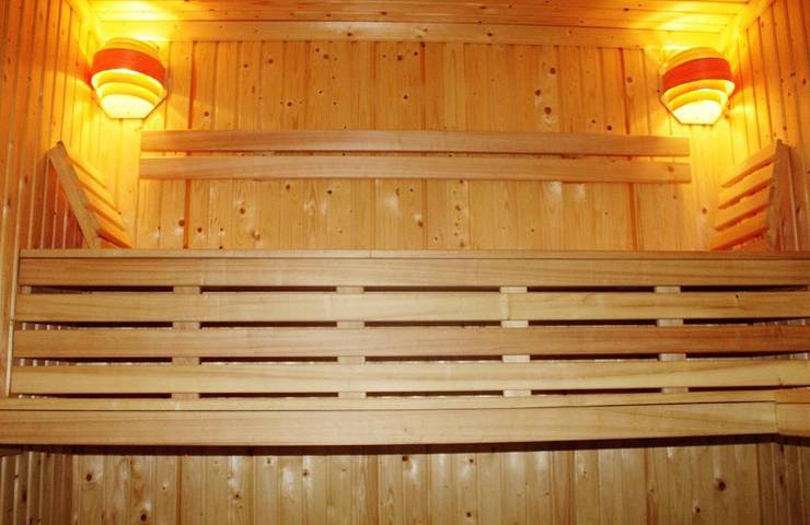 Gîte pour 2 personnes, avec sauna et balcon dans Lac Léman (France) - 2